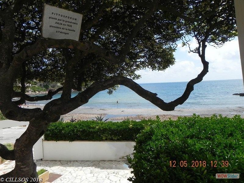 CILLSOS_23