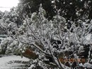ASL Saint-Jean-les-Moulires