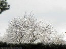 ASL Saint-Jean-les-Moulires